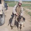 After Surviving Iraqi Attack, Marine Gets To Keep Her War Dog